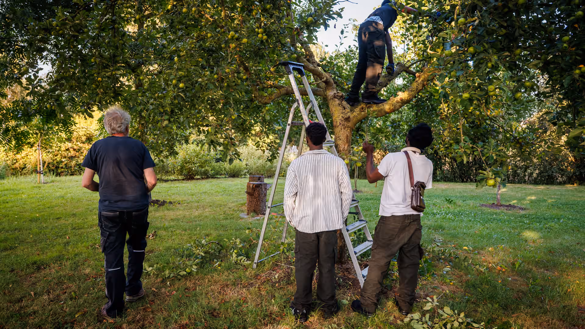 Jonge asielzoekers in boomgaard